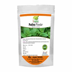 Pudina Powder